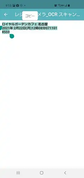 Play Receipt Camera_OCR scan copy  paste as an online game Receipt Camera_OCR scan copy  paste with UptoPlay