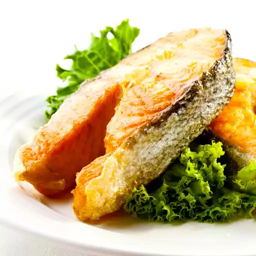 Play Receitas de Peixes APK Play Receitas de Peixes APK