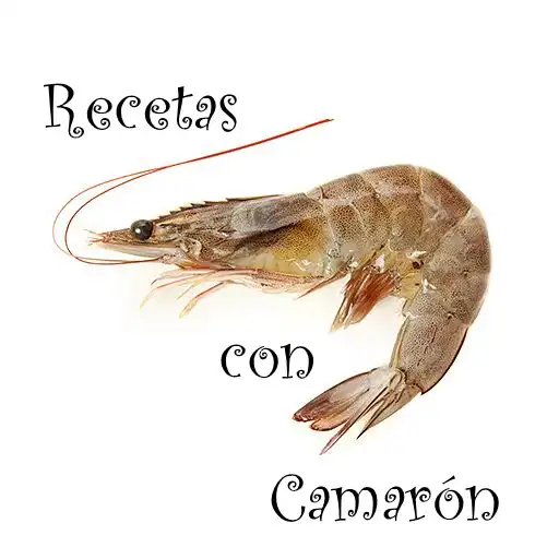 Play RECETAS CON CAMARON APK Play RECETAS CON CAMARON APK