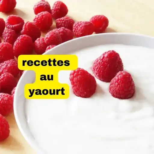Play recettes au yaourt APK Play recettes au yaourt APK