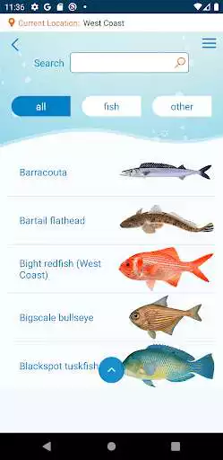 Play Recfishwest as an online game Recfishwest with UptoPlay
