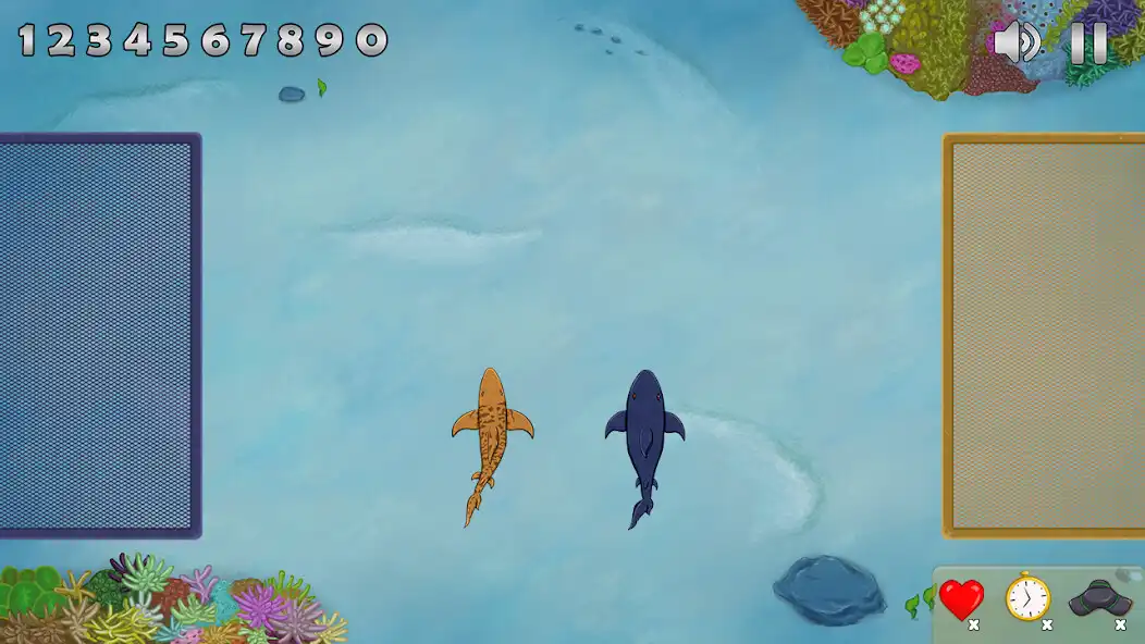 Play Recife Sharks  and enjoy Recife Sharks with UptoPlay