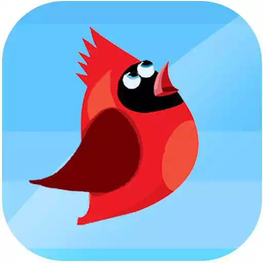 Free play online Red Bird Jump Sky APK