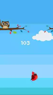 Play Red Bird Jump Sky