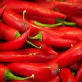 Free play online Red Chilli For Health APK