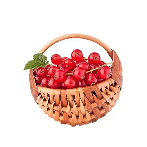 Play Red Currant Recipes APK Play Red Currant Recipes APK