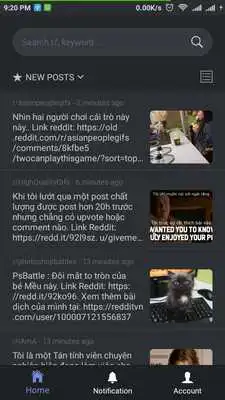 Play Reddit Vietnam