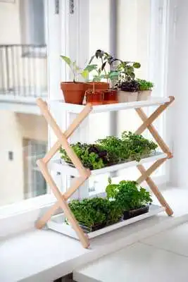 Play Redecoration your Home Ideas Play Redecoration your Home Ideas