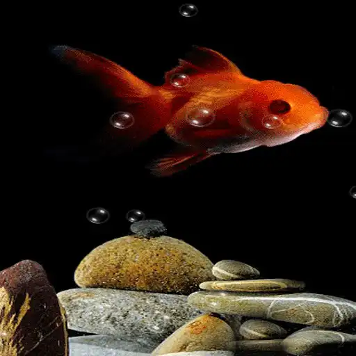 Play Red Fish Live Wallpaper APK