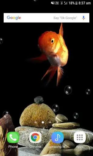 Play Red Fish Live Wallpaper as an online game Red Fish Live Wallpaper with UptoPlay