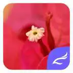 Free play online Red Flower CM Launcher Theme  APK