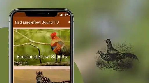 Play Red Junglefowl Sounds as an online game online Red Junglefowl Sounds with UptoPlay Play Red Junglefowl Sounds as an online game Red Junglefowl Sounds with UptoPlay