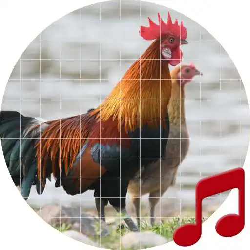 Run free android online Red junglefowl Sounds ~ Sboard.pro APK