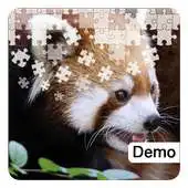 Free play online Red Panda Jigsaw Puzzles Demo APK