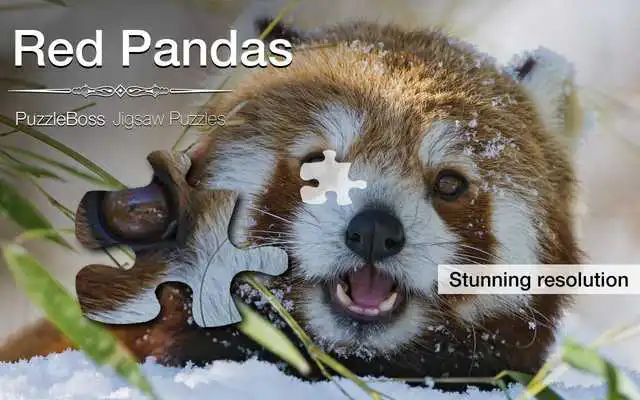 Play Red Panda Jigsaw Puzzles Demo