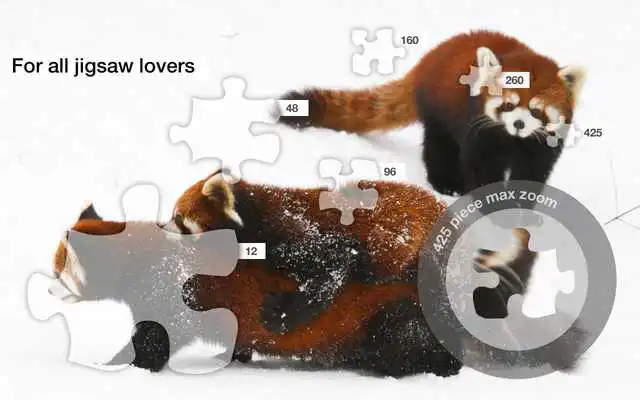 Play Red Panda Jigsaw Puzzles Demo