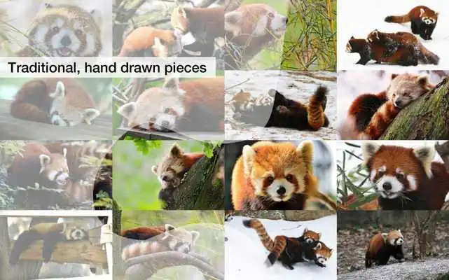 Play Red Panda Jigsaw Puzzles Demo