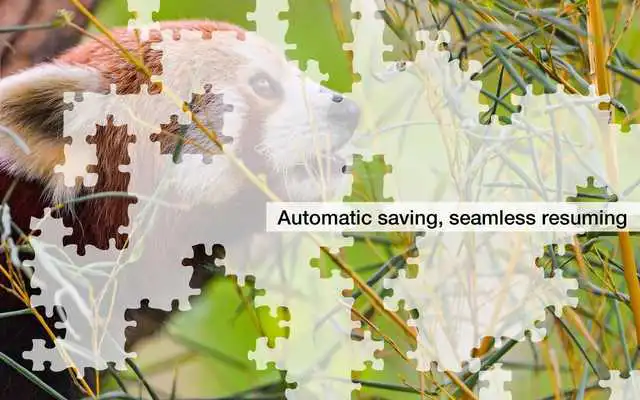 Play Red Panda Jigsaw Puzzles Demo