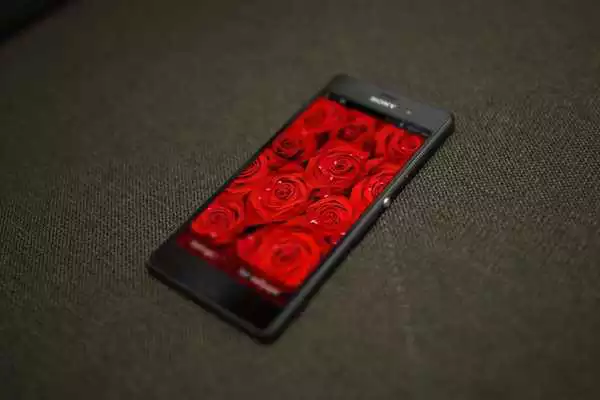 Play Red Rose HD LiveWallpaper