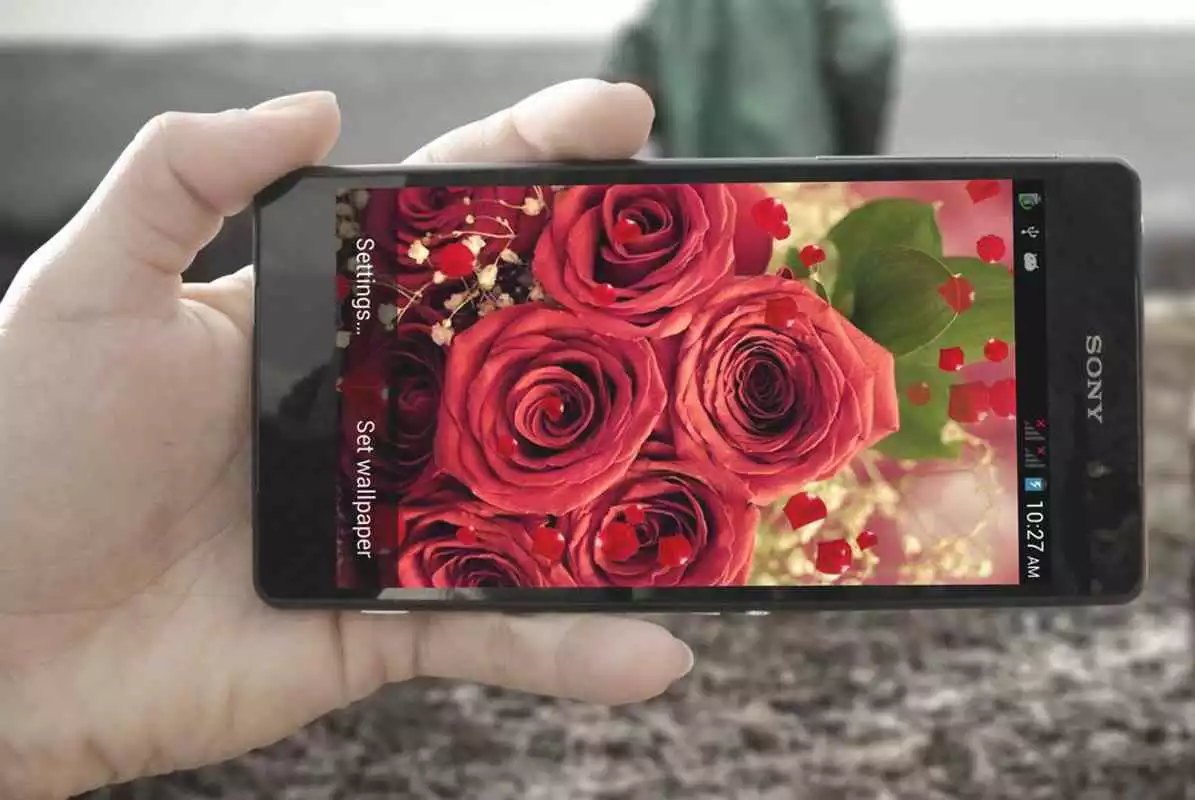 Play Red Rose HD LiveWallpaper