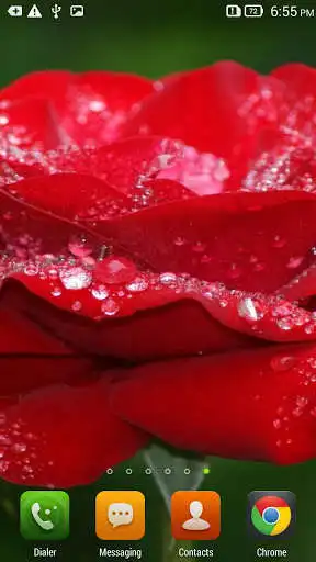 Play Red Rose Live Wallpaper Free  and enjoy Red Rose Live Wallpaper Free with UptoPlay