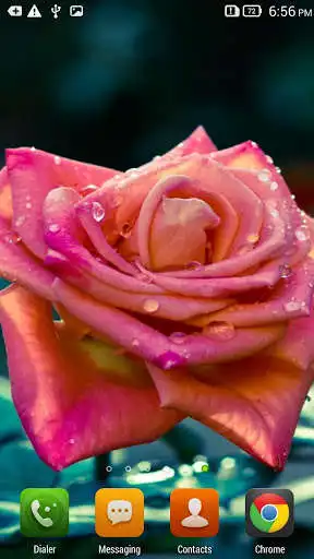 Play Red Rose Live Wallpaper Free as an online game Red Rose Live Wallpaper Free with UptoPlay