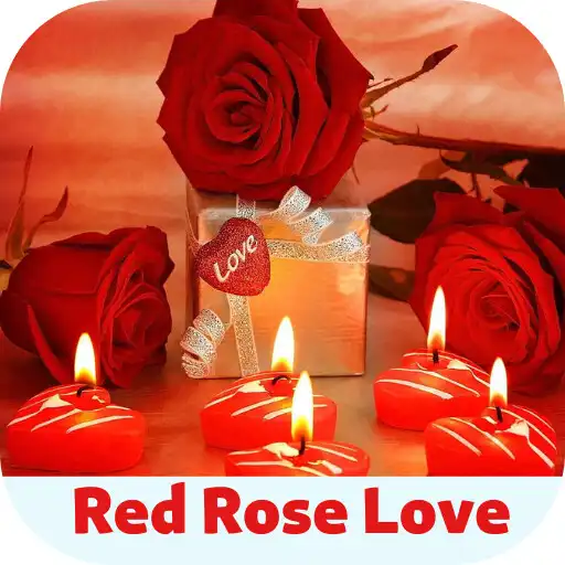 Play red rose love APK Play red rose love APK