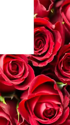 Play APK Red Rose Photo Frames HD  and enjoy Red Rose Photo Frames HD with UptoPlay com.bmksservices.redrosephotoframeshd