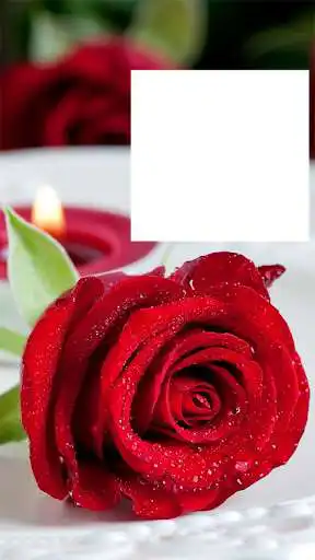 Play APK Red Rose Photo Frames HD  and enjoy Red Rose Photo Frames HD with UptoPlay com.bmksservices.redrosephotoframeshd