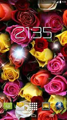 Play Red Roses Flowers HD