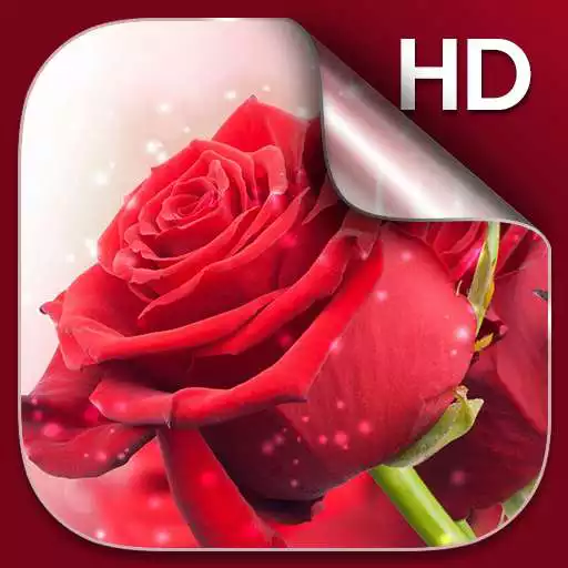 Free play online Red Roses Live Wallpaper HD APK