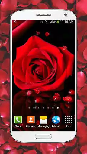 Play Red Roses Live Wallpaper HD