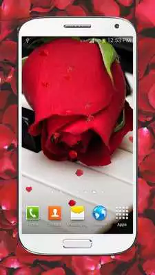Play Red Roses Live Wallpaper HD