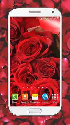 Play Red Roses Live Wallpaper HD