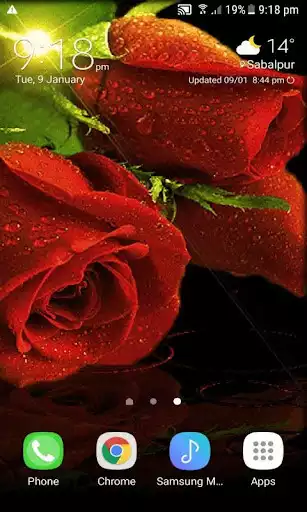 Play Red Roses Live Wallpaper Play Red Roses Live Wallpaper