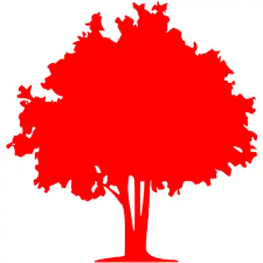 Play REDTREE APK