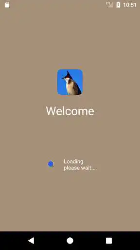 Play Red-whiskered bulbul  and enjoy Red-whiskered bulbul with UptoPlay