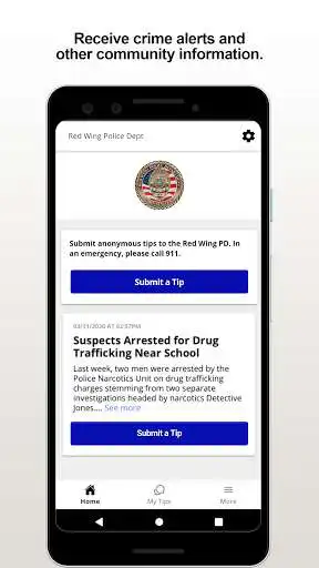 Play Red Wing PD  and enjoy Red Wing PD with UptoPlay