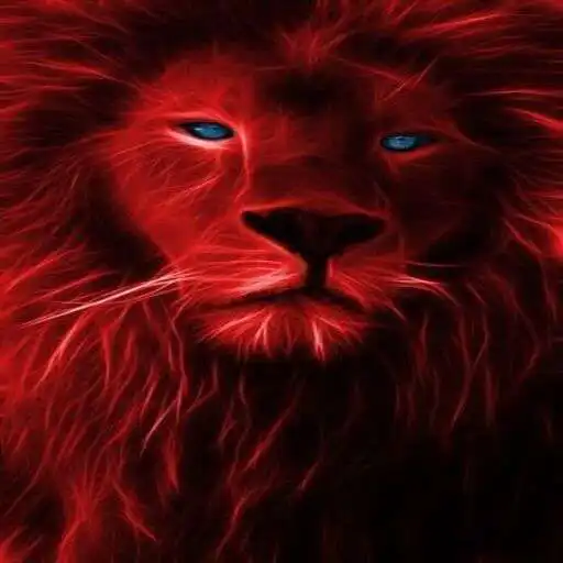 Play Red Yellow Wallpaper APK Play Red Yellow Wallpaper APK