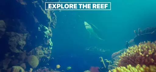 Play Reef Simulator  and enjoy Reef Simulator with UptoPlay