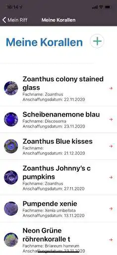 Play Reefy and enjoy Reefy with UptoPlay Play Reefy and enjoy Reefy with UptoPlay