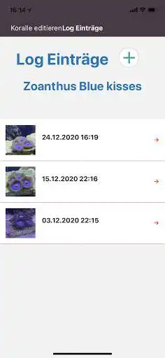 Play Reefy as an online game online Reefy with UptoPlay de.tki.reefy Play Reefy as an online game Reefy with UptoPlay