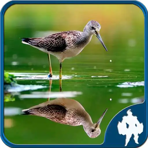 Play Reflection Jigsaw Puzzles APK