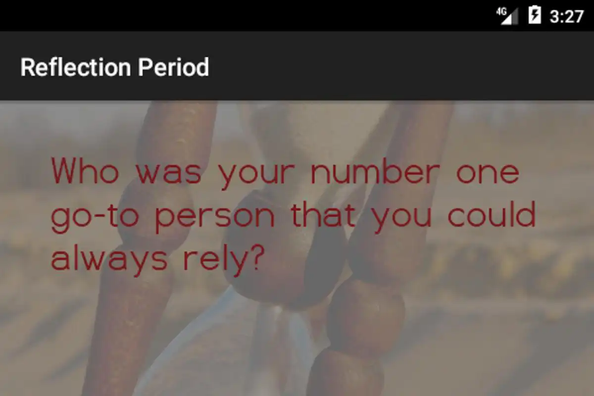 Play Reflection Period