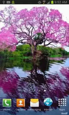 Play Reflective Pink Tree Live Wall Play Reflective Pink Tree Live Wall