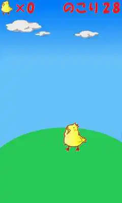 Play Reflexes of Chick