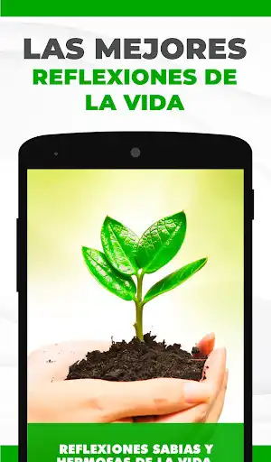 Play Reflexiones Sabias y Hermosas de la Vida y el Amor  and enjoy Reflexiones Sabias y Hermosas de la Vida y el Amor with UptoPlay