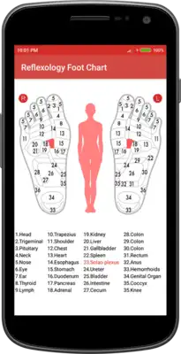 Play Reflexology