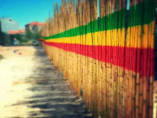 Play Reggae Music