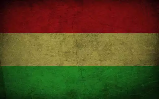 Play Reggae Music